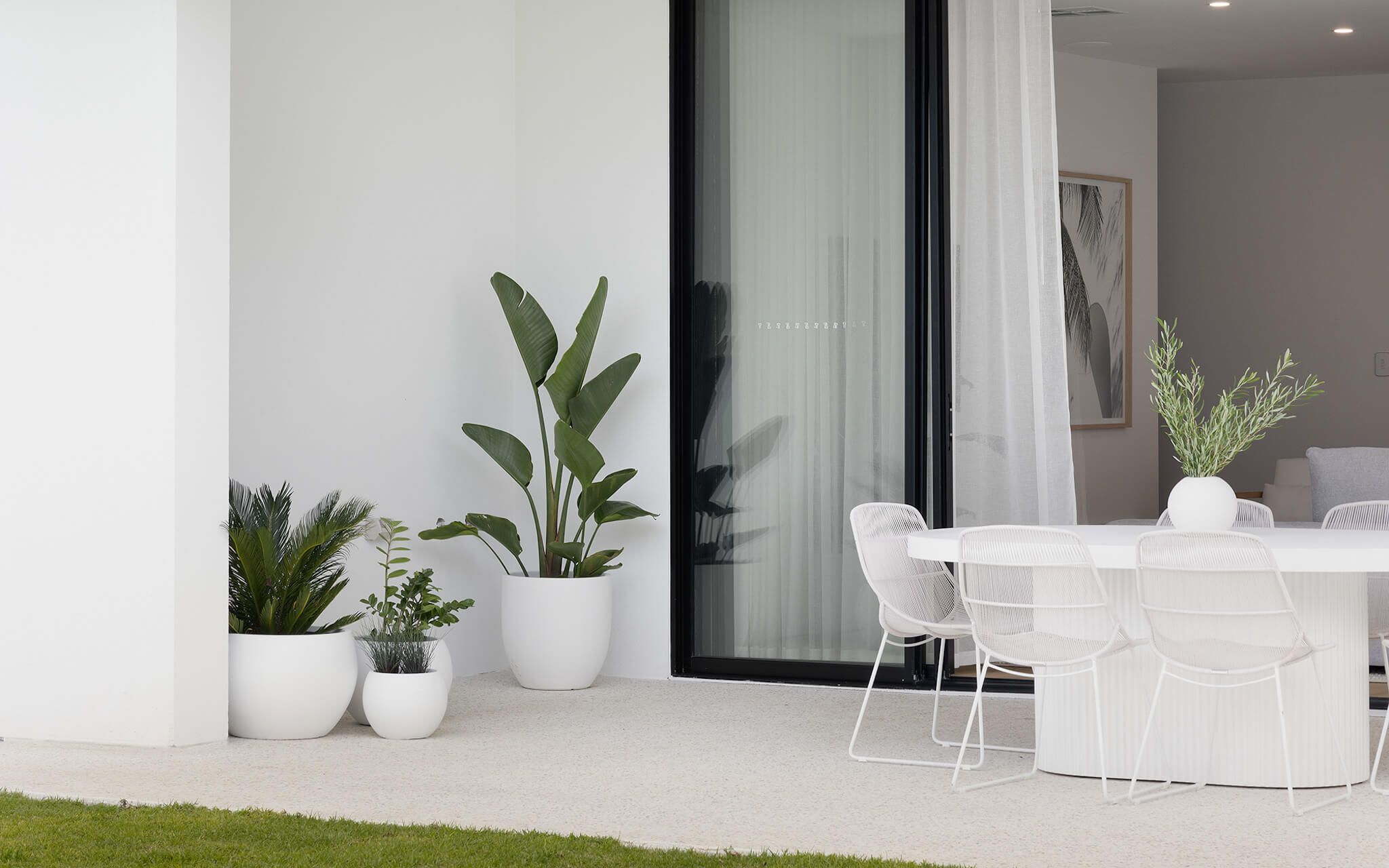 Plant Resort Plant Styling Outdoor Area