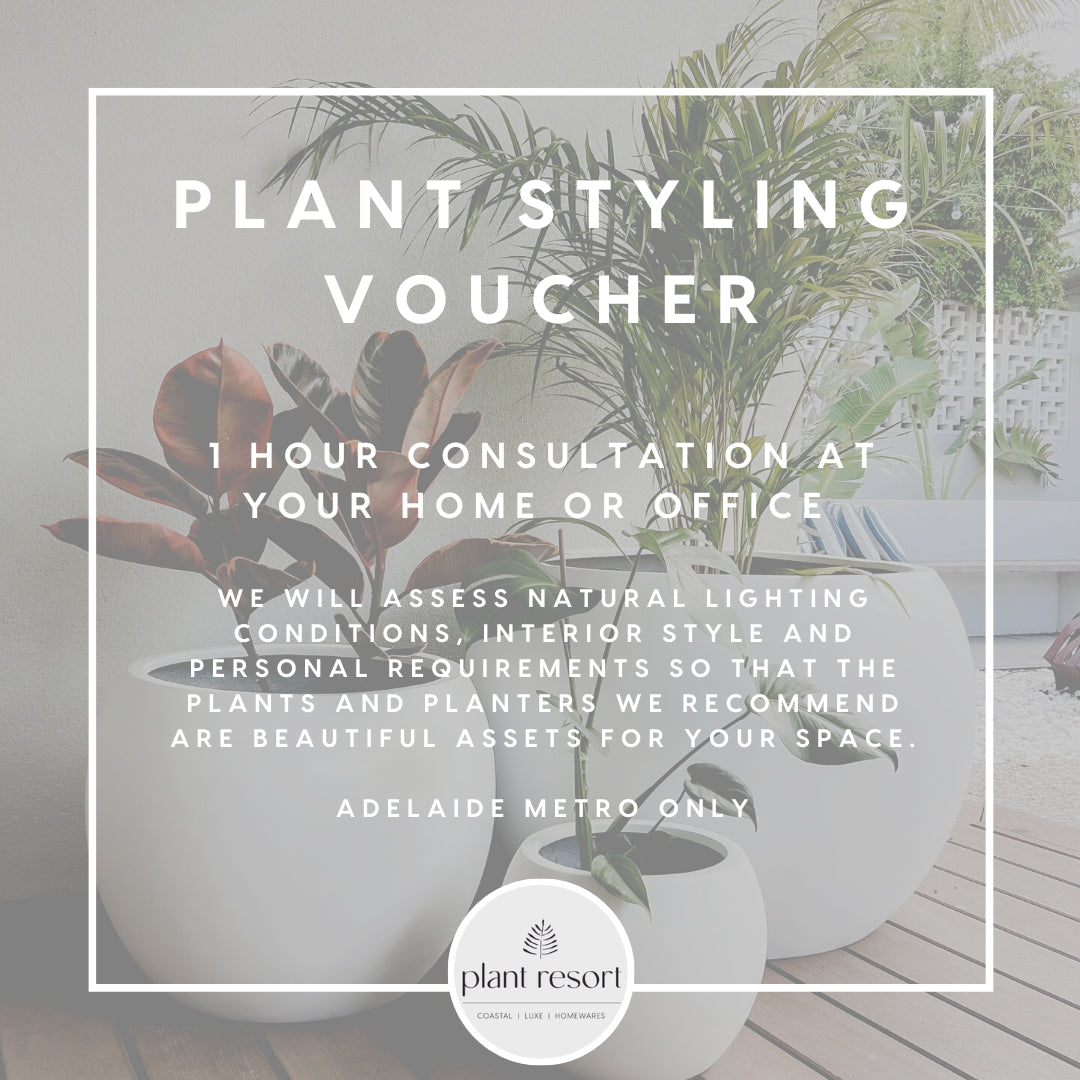 Plant Styling Appointment