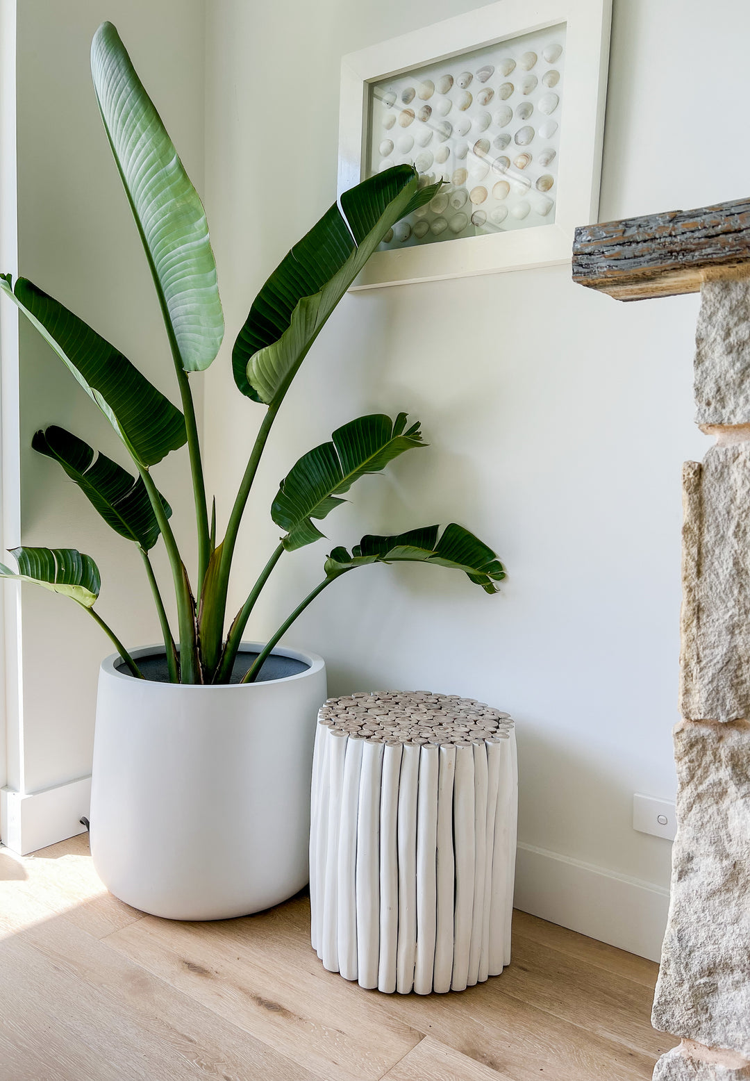 How to Water Your Indoor Plants During the Summer Months