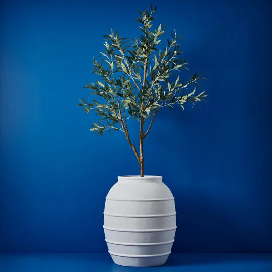 Roma Pot