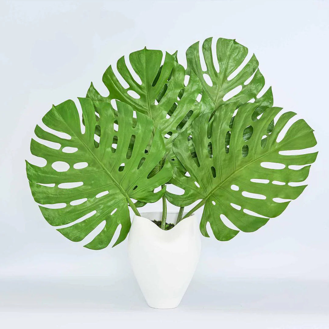 Guan Organic Vase LGE