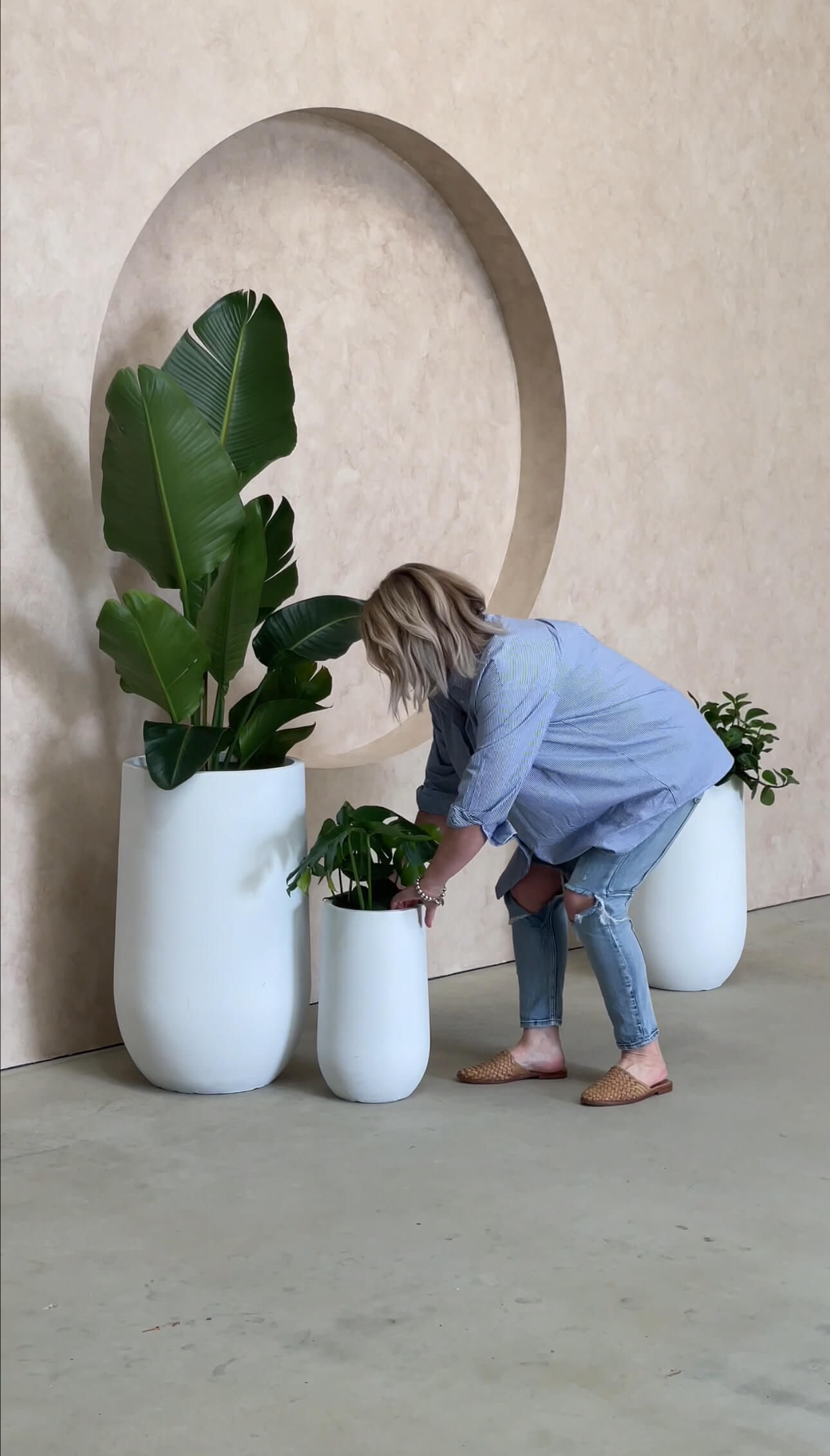 Plant Resort: Plant Styling