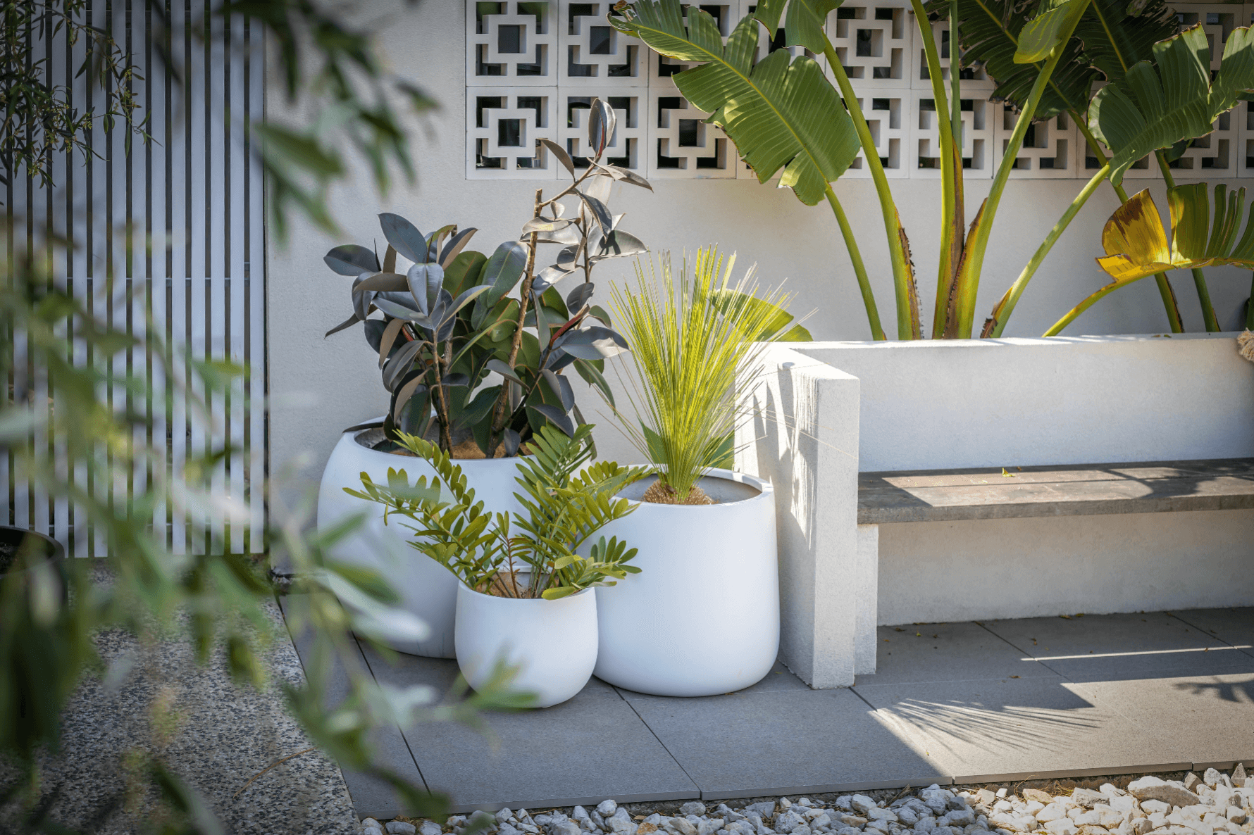 Plant Resort: What We Do