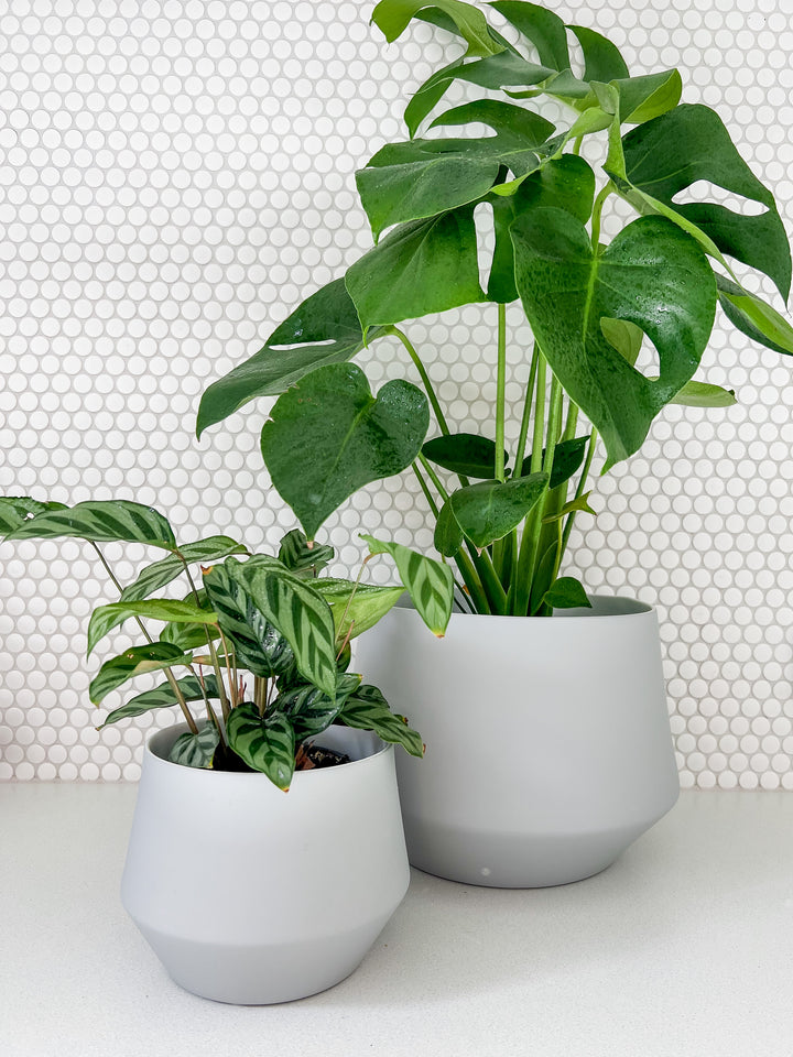 Samso Planter - Grey