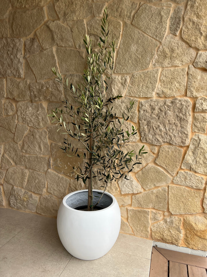 Amalfi Pot