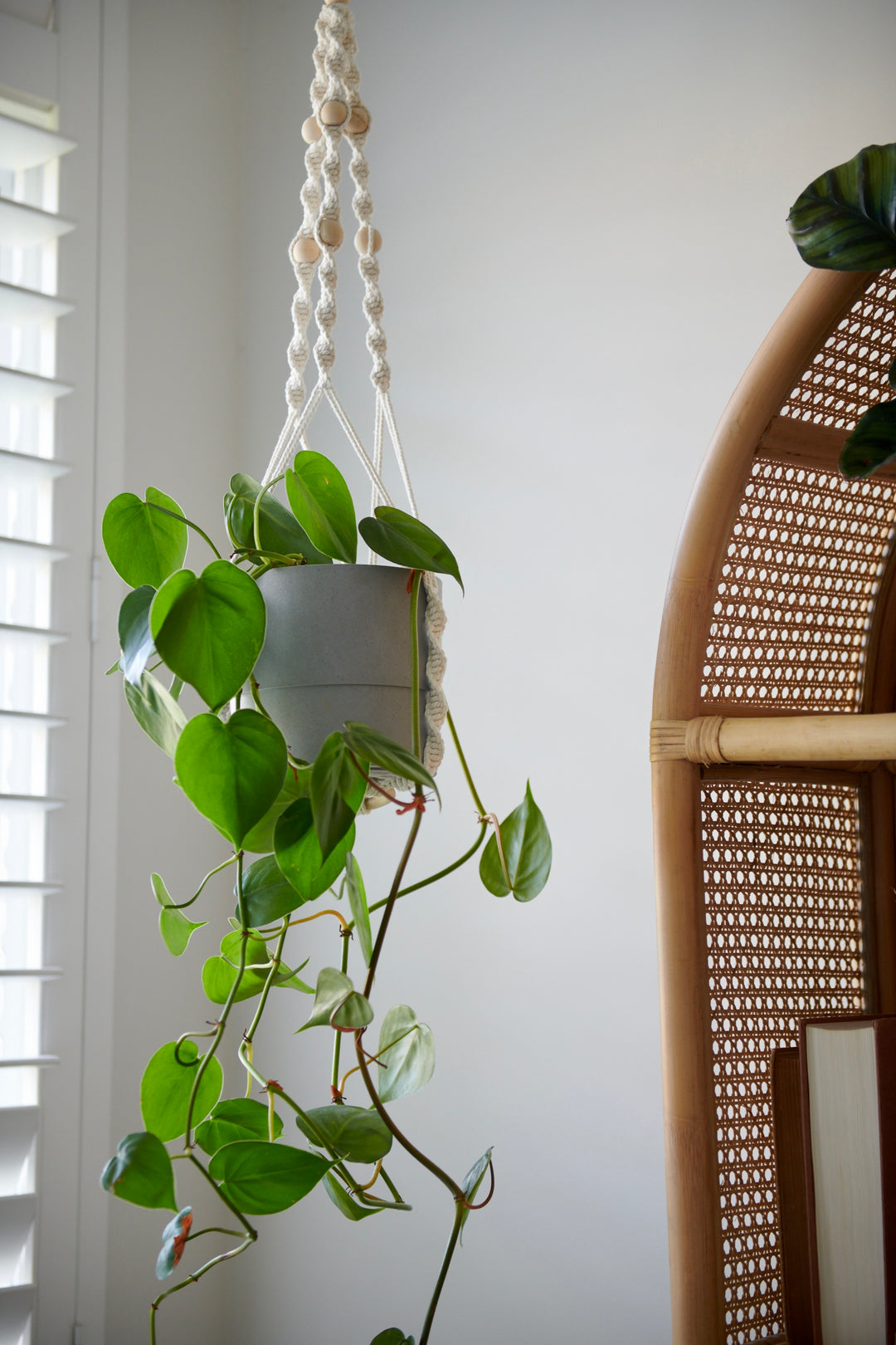 Macramé Hanging pot holder