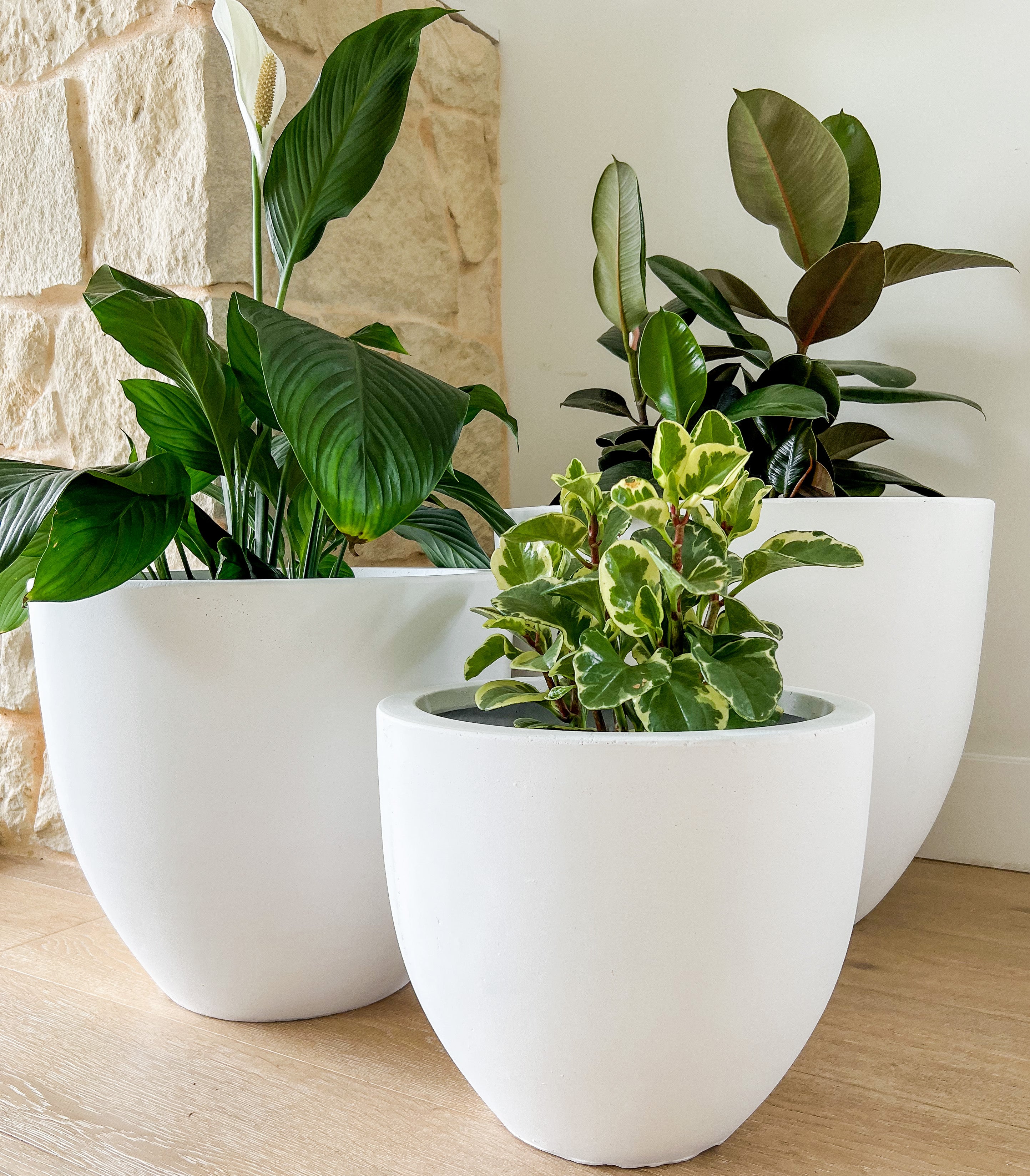 Scarborough Pot Set – Plant Resort