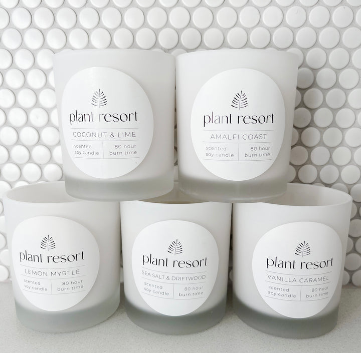 Plant Resort Soy Candle