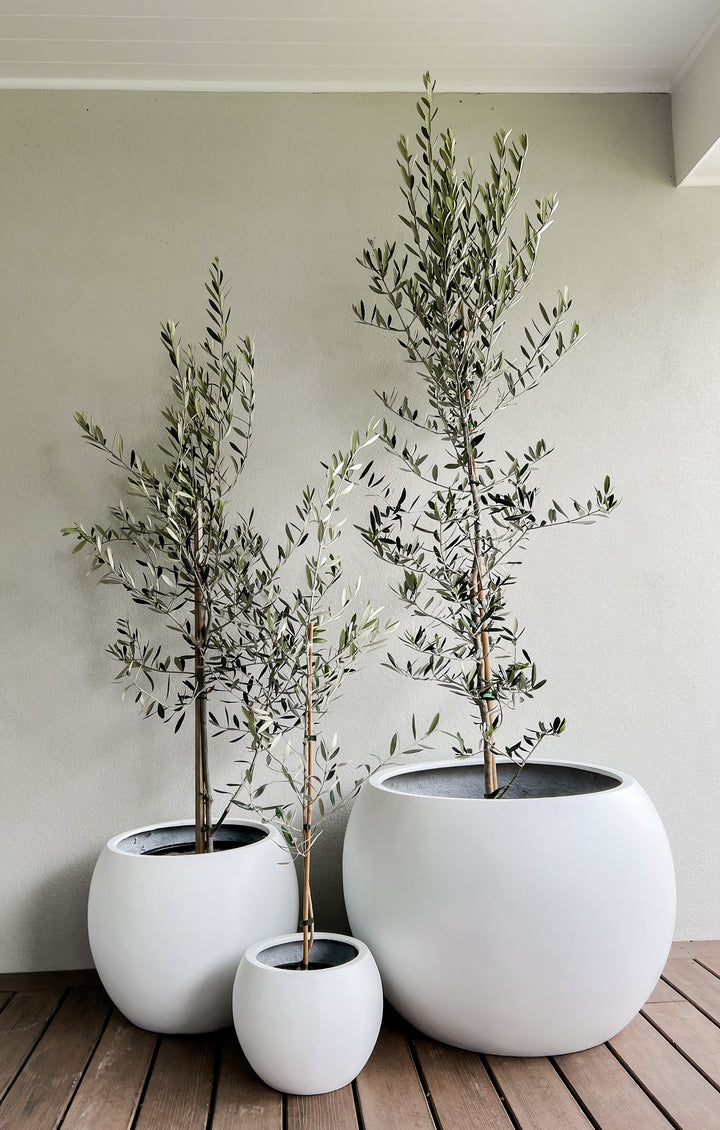 Amalfi Pot