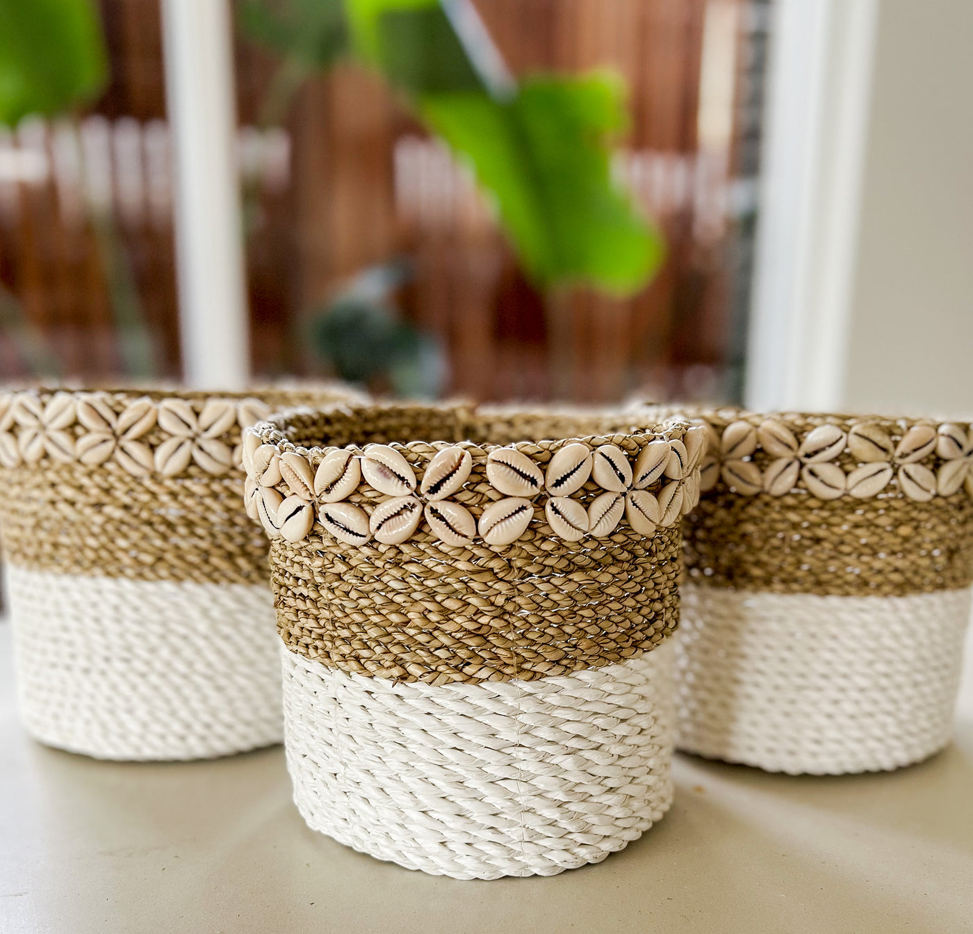 Shell & Seagrass Basket