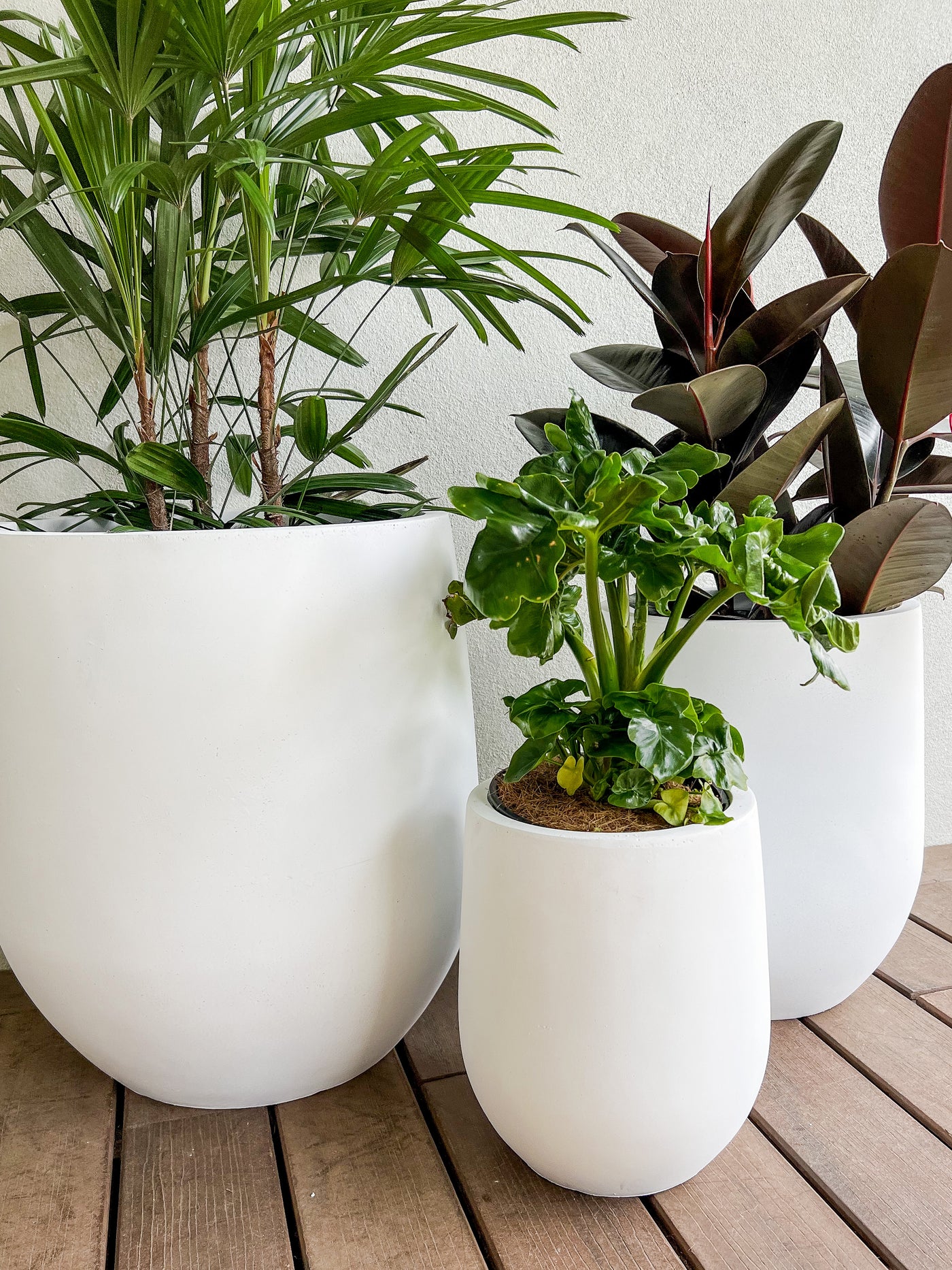 Sorrento Squat Pot Set – Plant Resort